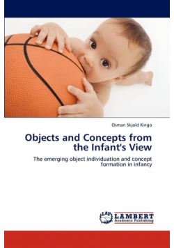 Objects and Concepts from the Infant's View