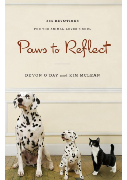 Paws to Reflect