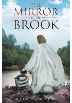 The Mirror In The Brook