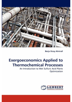 Exergoeconomics Applied to Thermochemical Processes