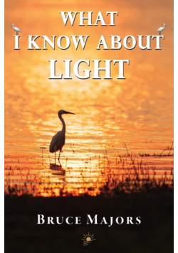 What I Know About Light