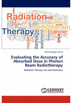 Evaluating the Accuracy of Absorbed Dose in Photon Beam Radiotherapy