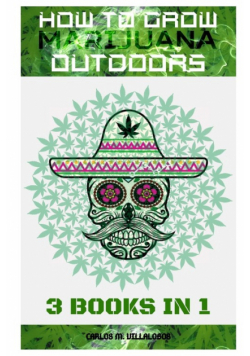 How To Grow Marijuana Outdoors
