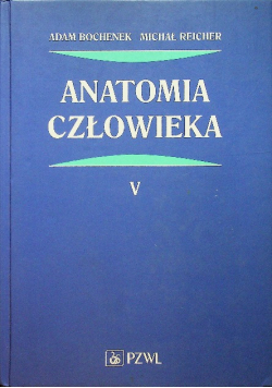 Anatomia człowieka Tom V