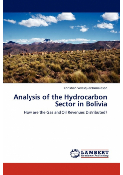Analysis of the Hydrocarbon Sector in Bolivia