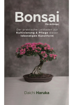 Bonsai für Anfänger