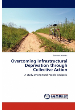 Overcoming Infrastructural Deprivation through Collective Action