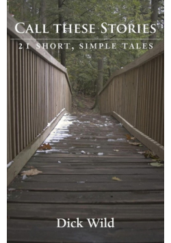 Call These Stories - 21 Short Simple Tales