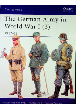 The German Army in World War I (3)