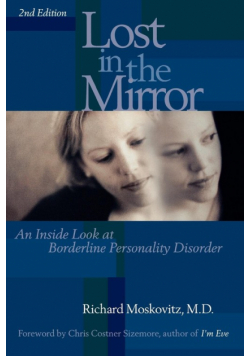 Lost in the Mirror