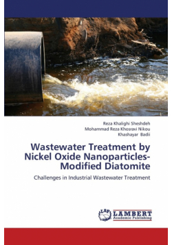Wastewater Treatment by Nickel Oxide Nanoparticles-Modified Diatomite