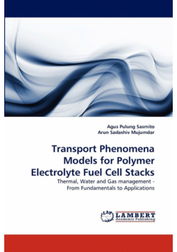 Transport Phenomena Models for Polymer Electrolyte Fuel Cell Stacks
