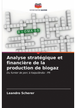 Analyse stratégique et financière de la production de biogaz