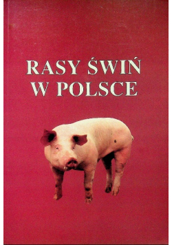 Rasy świń w Polsce