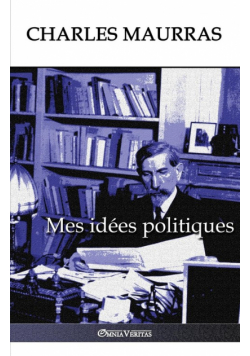 Mes idées politiques
