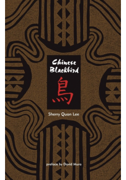 Chinese Blackbird