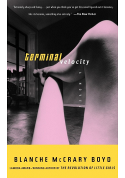 Terminal Velocity