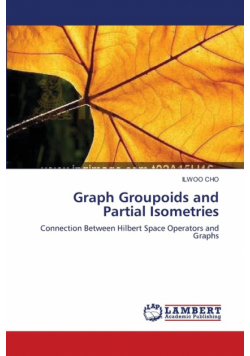 Graph Groupoids and Partial Isometries