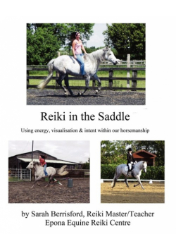Reiki in the Saddle