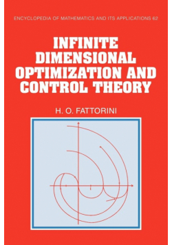 Infinite Dimensional Optimization and Control Theory