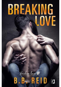 Breaking love. Broken love. Tom 4
