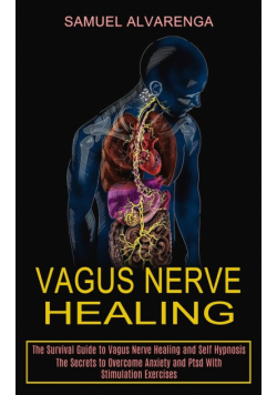 Vagus Nerve Healing