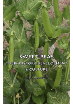 Sweet Peas - Their History, Development & Culture