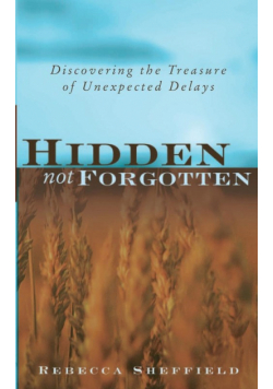 Hidden, Not Forgotten