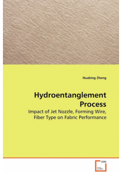 Hydroentanglement Process