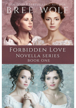 A Forbidden Love Novella Box Set One