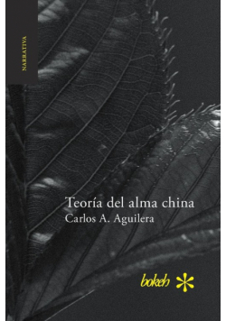 Teoría del alma china