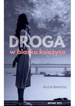 Droga w blasku księżyca
