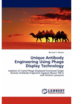 Unique Antibody Engineering Using Phage Display Technology