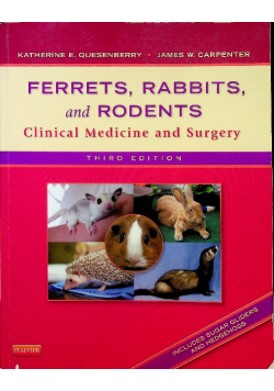Ferrets  Rabbits and Rodents Clinical Medicine and Surgery
