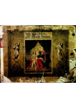 30 bilder neuen testament 1870 r.