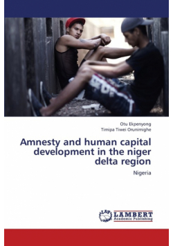 Amnesty and Human Capital Development in the Niger Delta Region