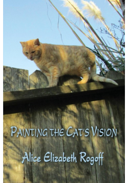 Painting the Cat's Vision