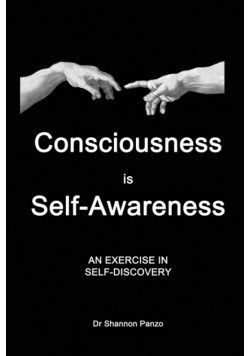 Consciousness is Self-Awareness