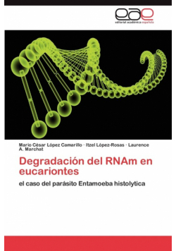 Degradacion del Rnam En Eucariontes