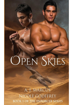 Open Skies