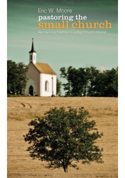 Pastoring the Small Church
