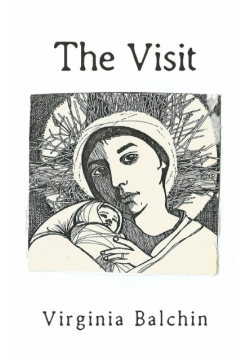 The Visit