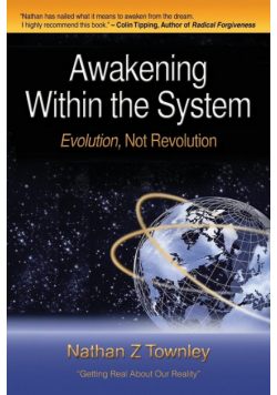 Awakening Within the System