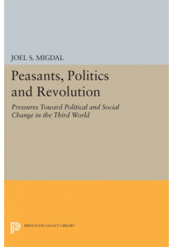 Peasants, Politics and Revolution