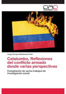 Catatumbo, Reflexiones del conflicto armado desde varias perspectivas