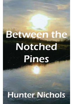 Between the Notched Pines