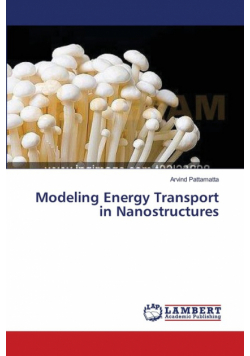 Modeling Energy Transport in Nanostructures
