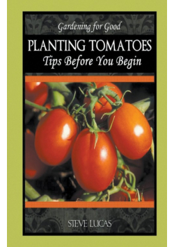 Planting Tomatoes