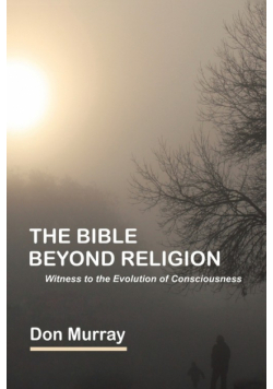 The Bible Beyond Religion