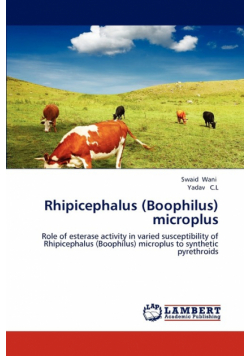 Rhipicephalus (Boophilus) microplus